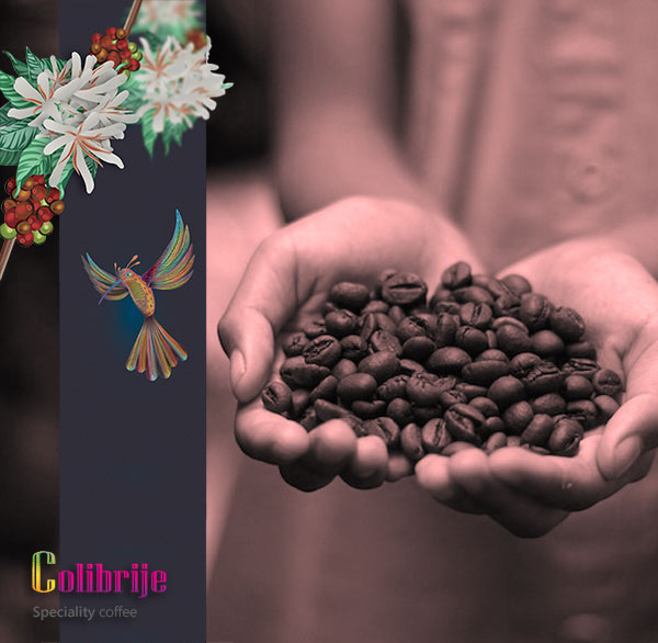 Coffee Certifiers